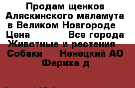 Продам щенков Аляскинского маламута в Великом Новгороде › Цена ­ 5 000 - Все города Животные и растения » Собаки   . Ненецкий АО,Фариха д.